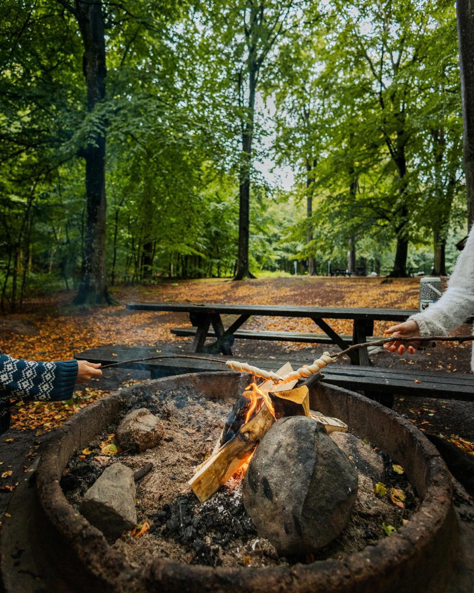 Visit Oerestrand Strandbaden المظهر الخارجي الصورة